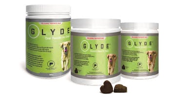 Glyde powder 2025 for dogs