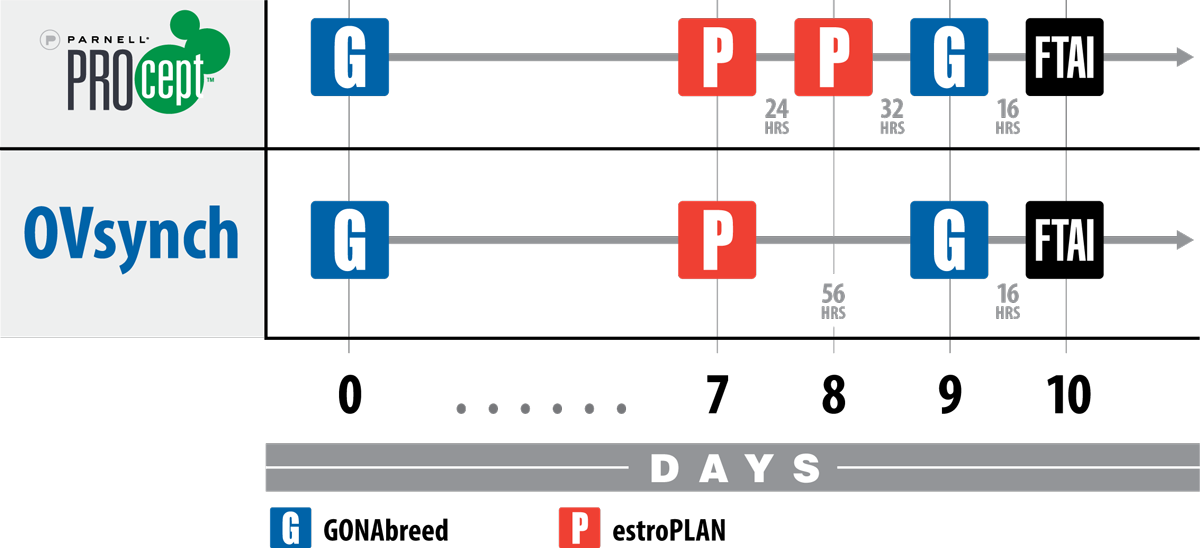 protocol chart