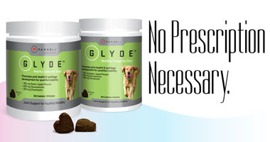 Glyde Joint Supplements for Dogs Parnell