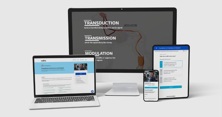 Foundations of Anesthesia & Sedation Veterinary Certificate Program