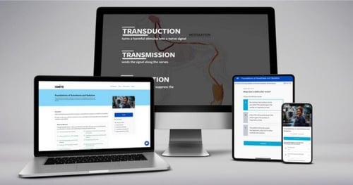 Foundations of Anesthesia & Sedation Certificate