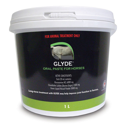 Glyde powder 2025