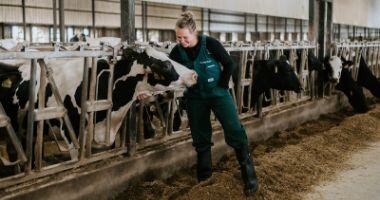 mySYNCH for veterinarians