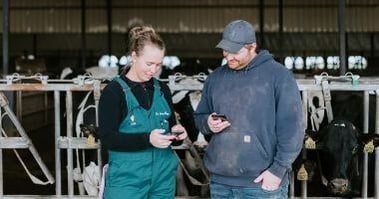 mySYNCH dairy repro program troubleshooting