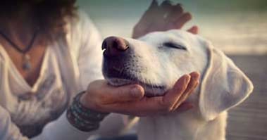 woman with dog