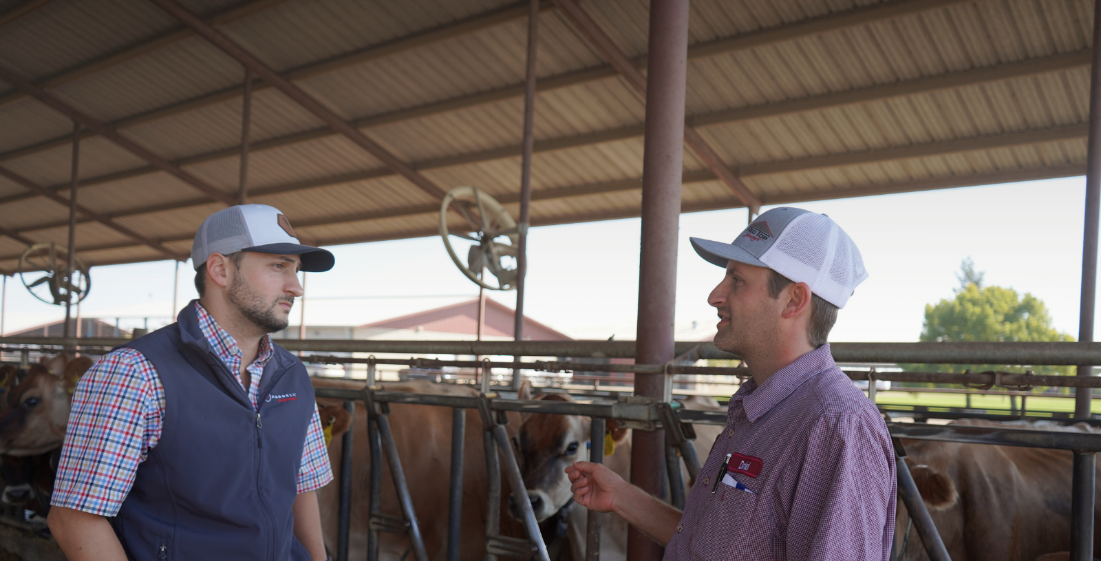Daniel Nascimento, Red Top Jerseys, CA