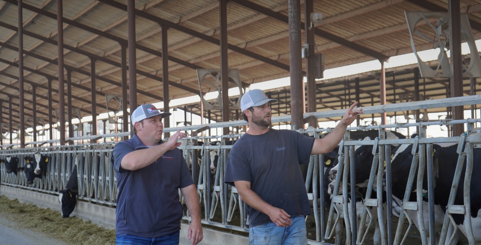 Danthan Riezebos, A&L Dairy