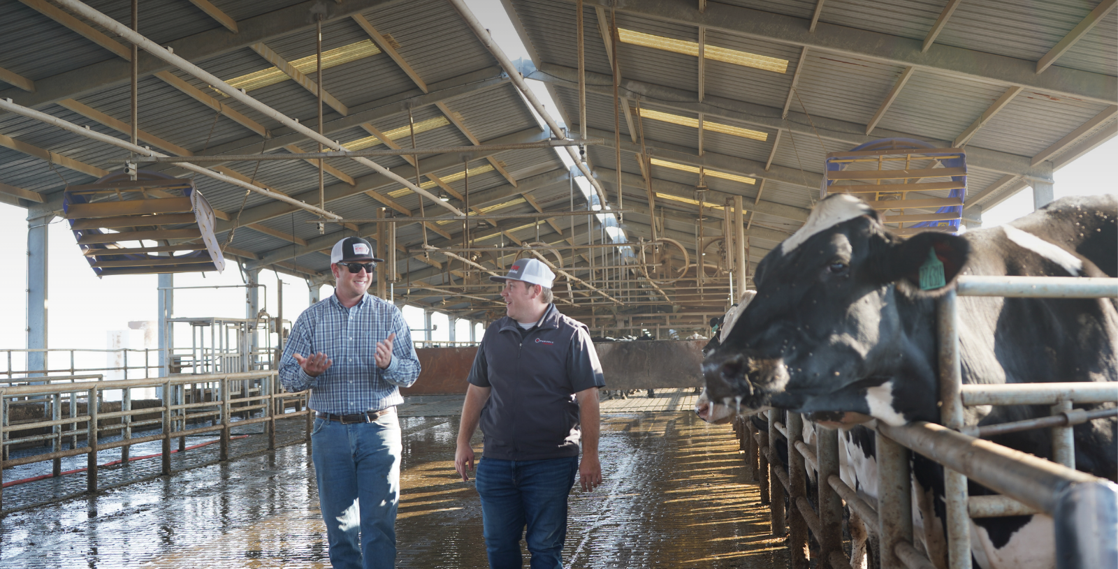 David Allred, Veterinary Consulting & Management Services, Inc.