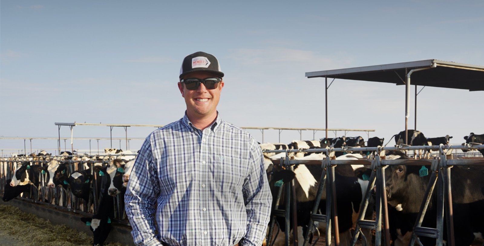 David Allred, Veterinary Consulting & Management Services, Inc. - GONAbreed®