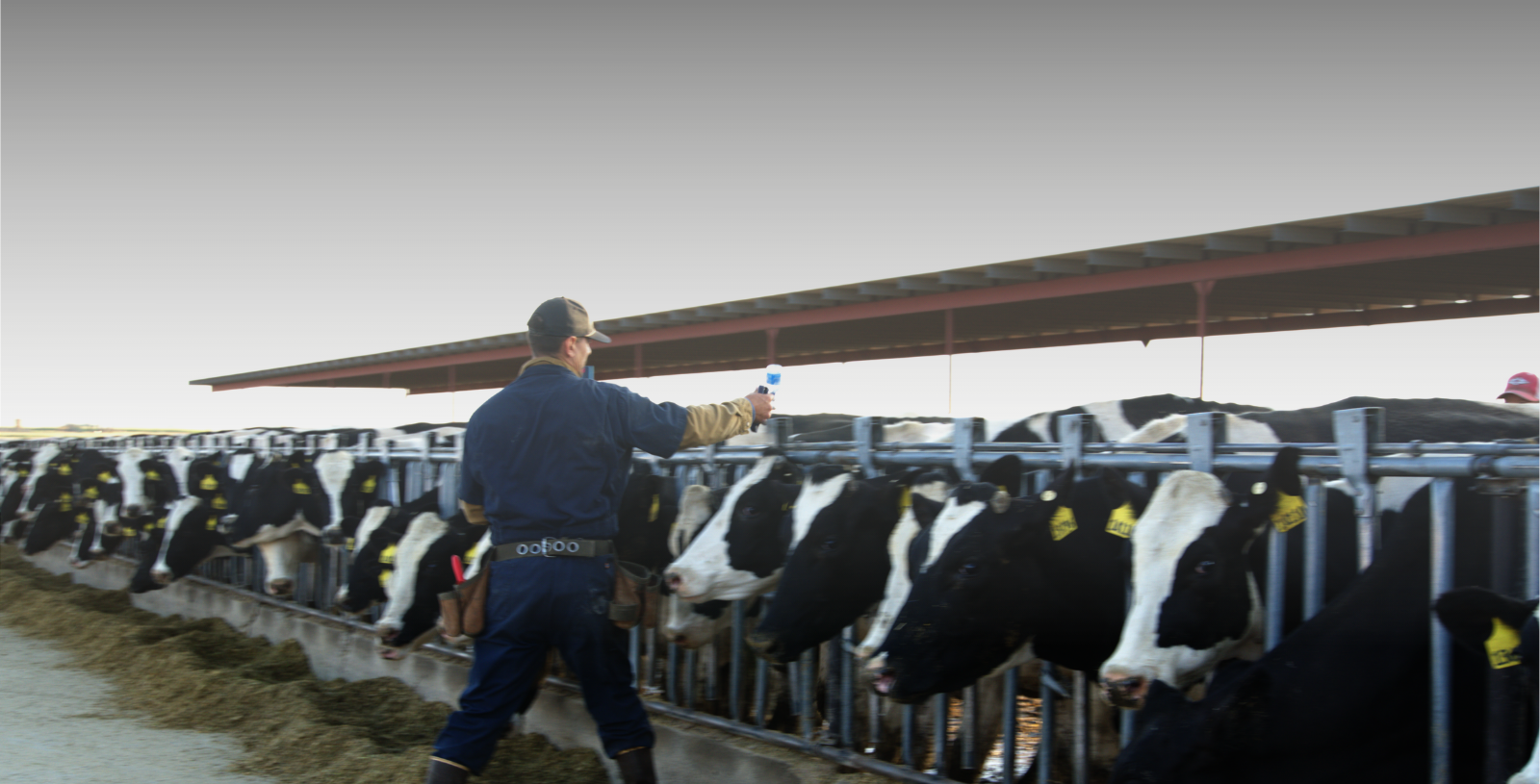 Does Your Reproductive Program Reflect Reality? - Fall 2025 Insights Article