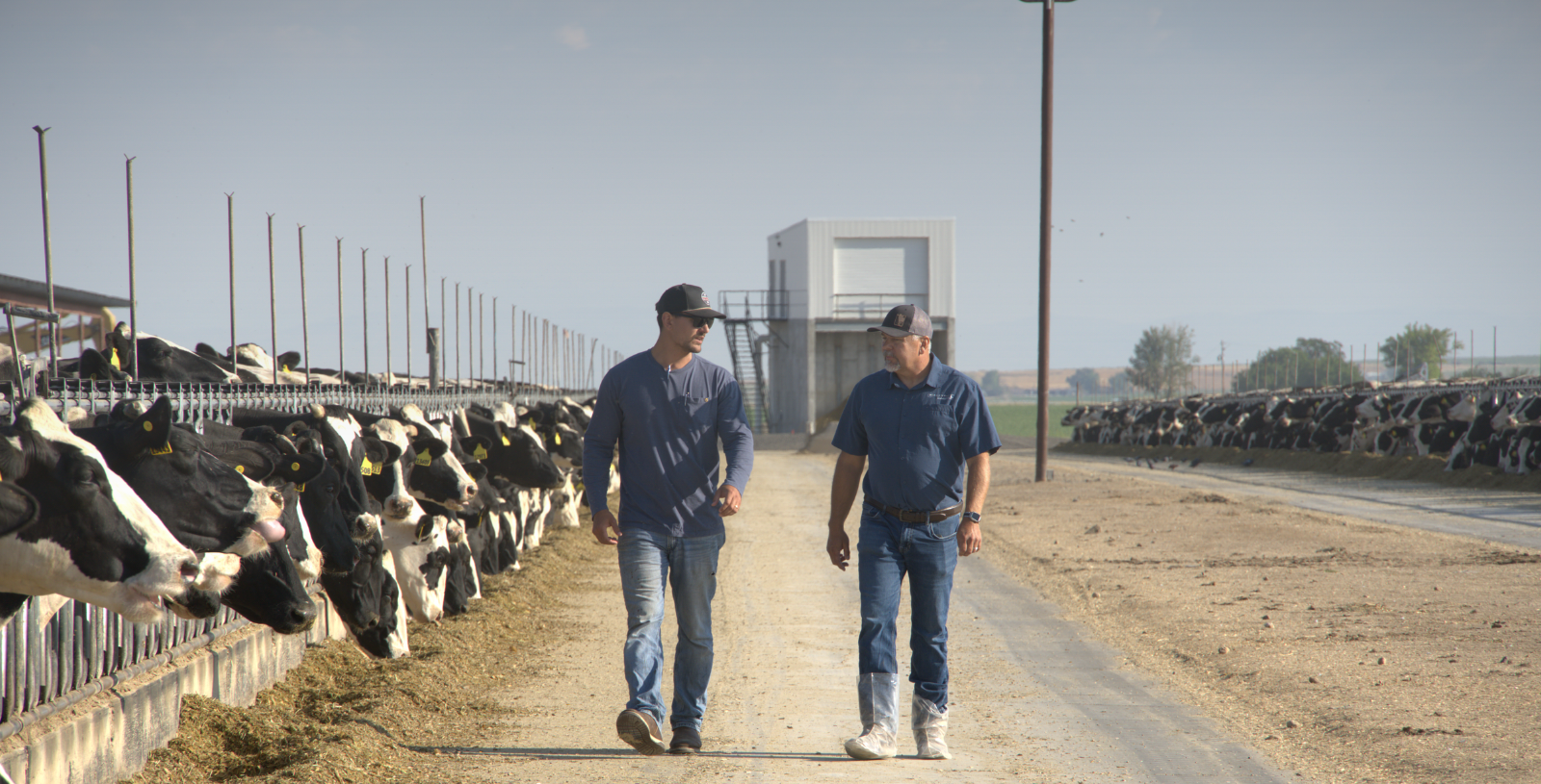 Jerome Vander Poel, Desert View Dairy