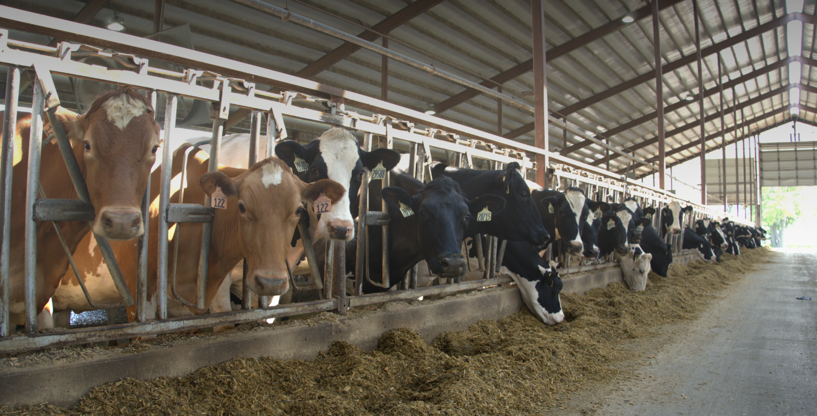 Jim Van Patter, Nehl’s Bros Dairy - Not All Products Are the Same