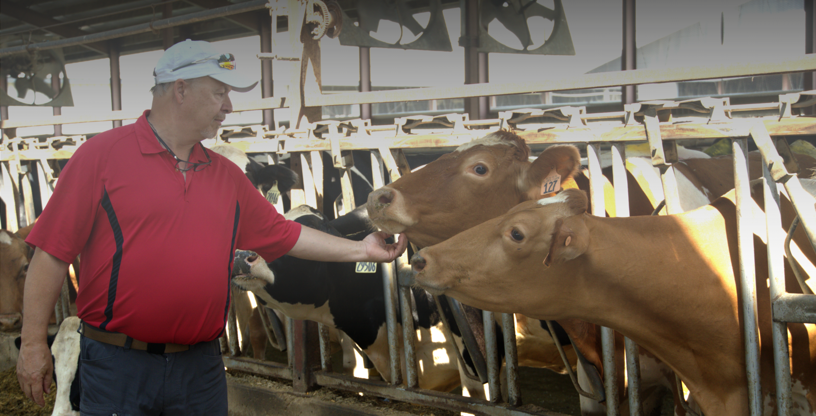 Jim Van Patter, Nehl’s Bros Dairy - mySYNCH™ Platform