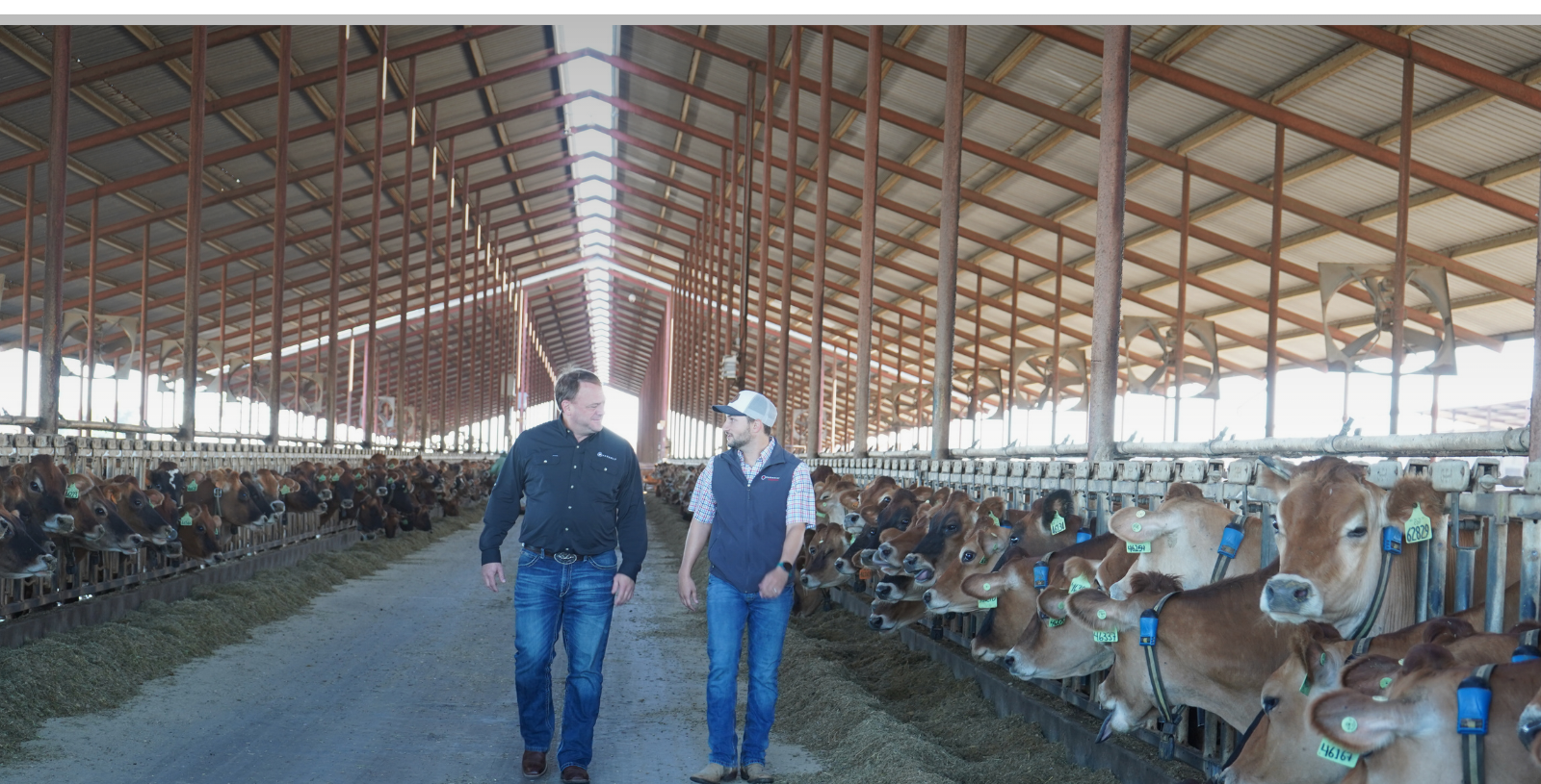 Managing Reproduction with Technology and Hormones: What is the Sweet Spot? - Spring 2026 Insights Article