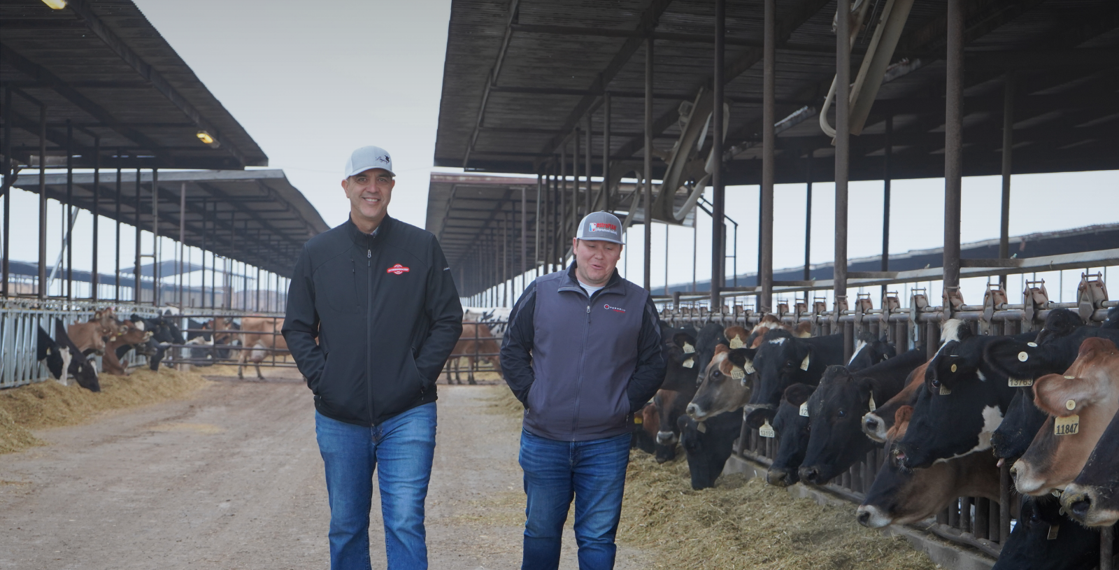 Your Legacy Genetics