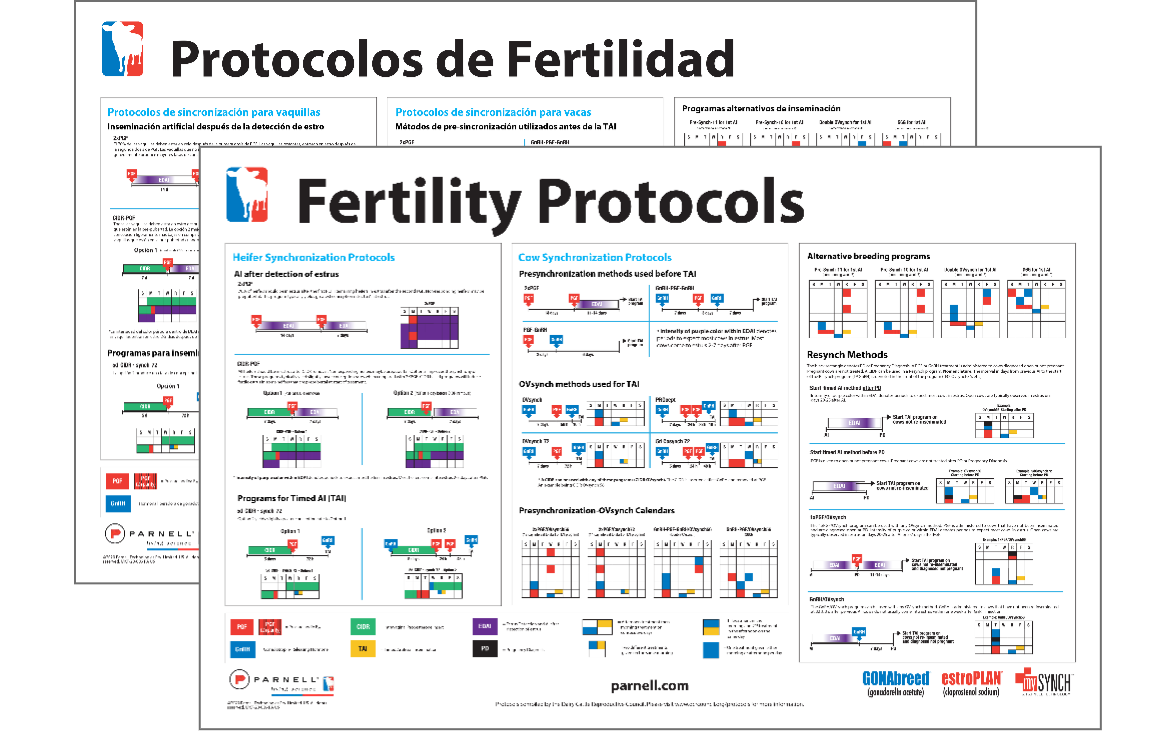 Fertility Protocol Posters