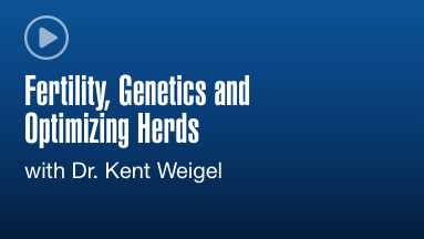 Fertility, Genetics and Optimizing Herds Webinar