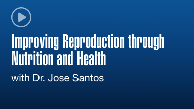 Improving Reproduction through Nutrition and Health Webinar