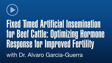 Fixed Timed AI for Beef Cattle Webinar