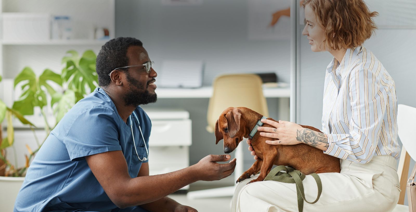 6 Ways to Alleviate Pet Owner Fears About Veterinary Anesthesia