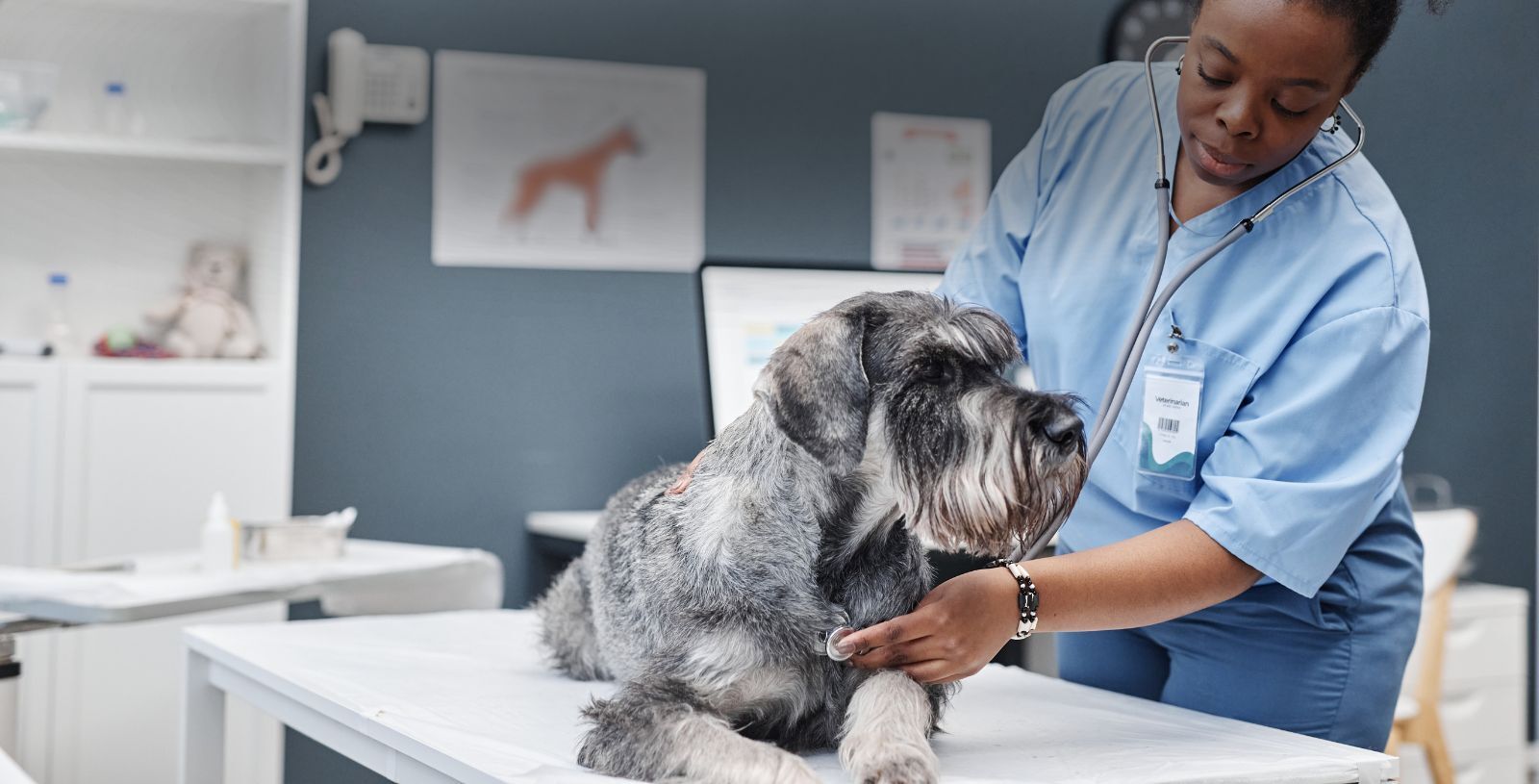 Perioperative Pain Management in Dogs: Improving Outcomes Through Better Pain Control