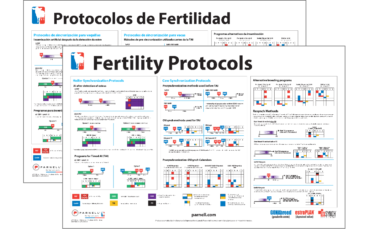 fertility_posters-image